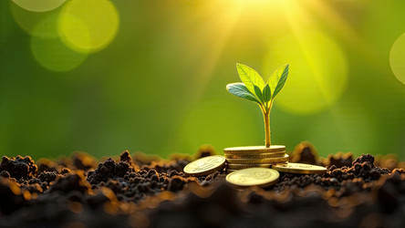 Similar image 22484441