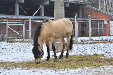 Similar image 22581588