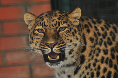 Similar image 22581589