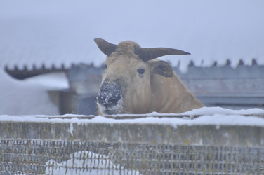 Similar image 22500896