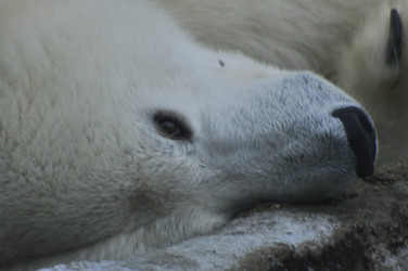 Similar image 22500897