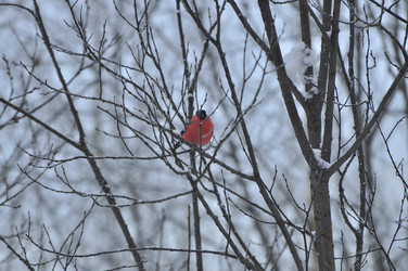 Similar image 22500898