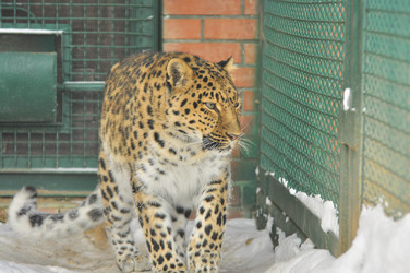 Similar image 22500899