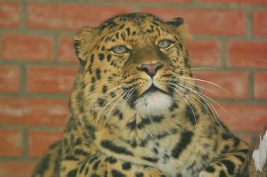 Similar image 22500900