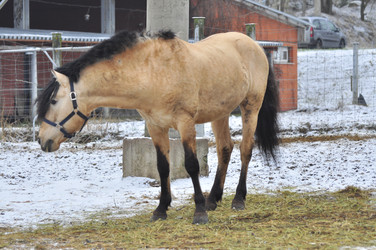 Similar image 22581569