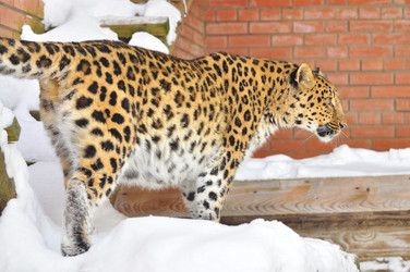 Similar image 22581570