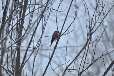 Similar image 22581571