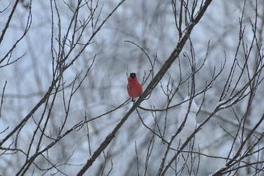 Similar image 22581572