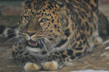 Similar image 22581573