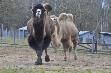 Similar image 22581574