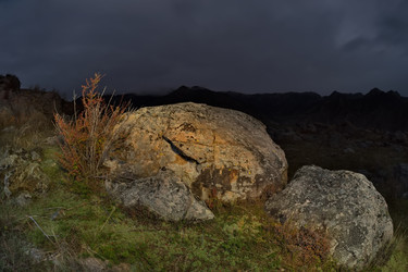 Similar image 22503921