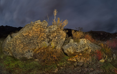 Similar image 22503924