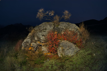 Similar image 22503925