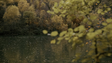 Similar image 22483428