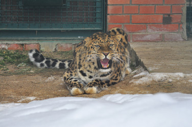 Similar image 22581575