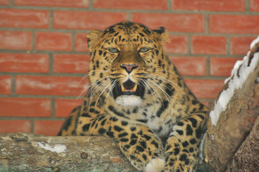 Similar image 22581576