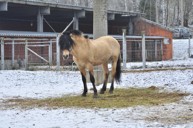 Similar image 22581578