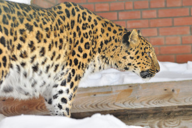 Similar image 22581580