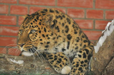 Similar image 22581591