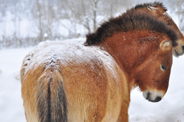 Similar image 22581593