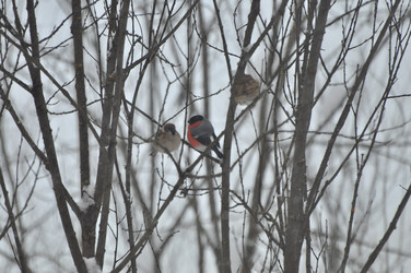 Similar image 22500901