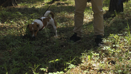 Similar image 22483157