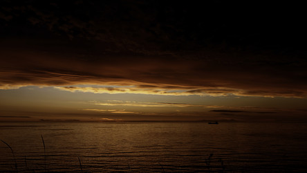 Similar image 22483383