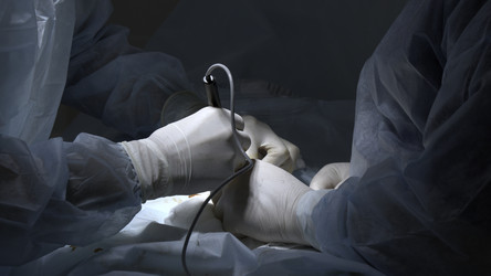 Similar image 22483429