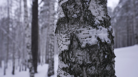 Similar image 22483174