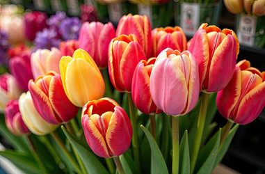 Similar image 22485780