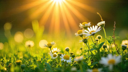 Similar image 22486228