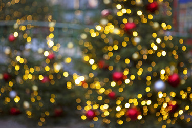 Similar image 22501912