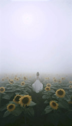 Similar image 22513483