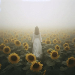 Similar image 22513968