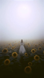 Similar image 22527355