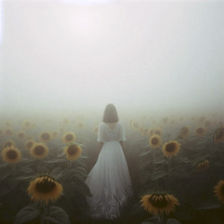 Similar image 22513677