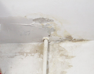 Similar image 22501392