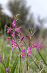 Similar image 22488123