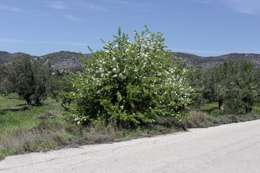 Similar image 22488124