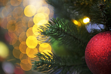 Similar image 22501913