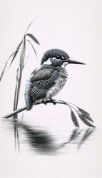 Similar image 22511752