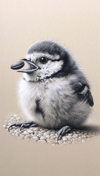 Similar image 22511980