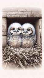 Similar image 22512775