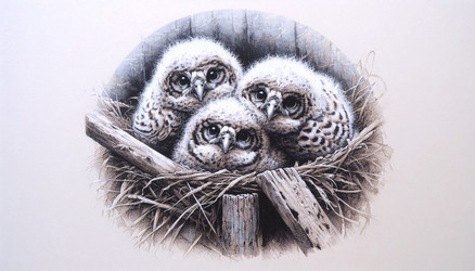 Similar image 22513576