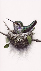 Similar image 22514734