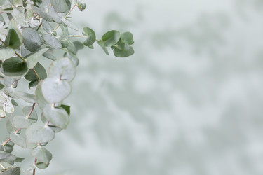 Similar image 22497844