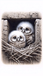 Similar image 22550212