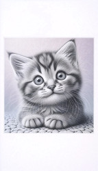 Similar image 22552213