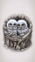 Similar image 22512777