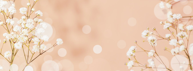 Similar image 22497815